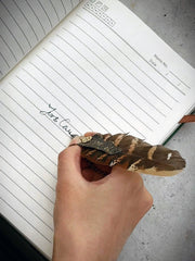 Steampunk Brown Quill Pen Brooch