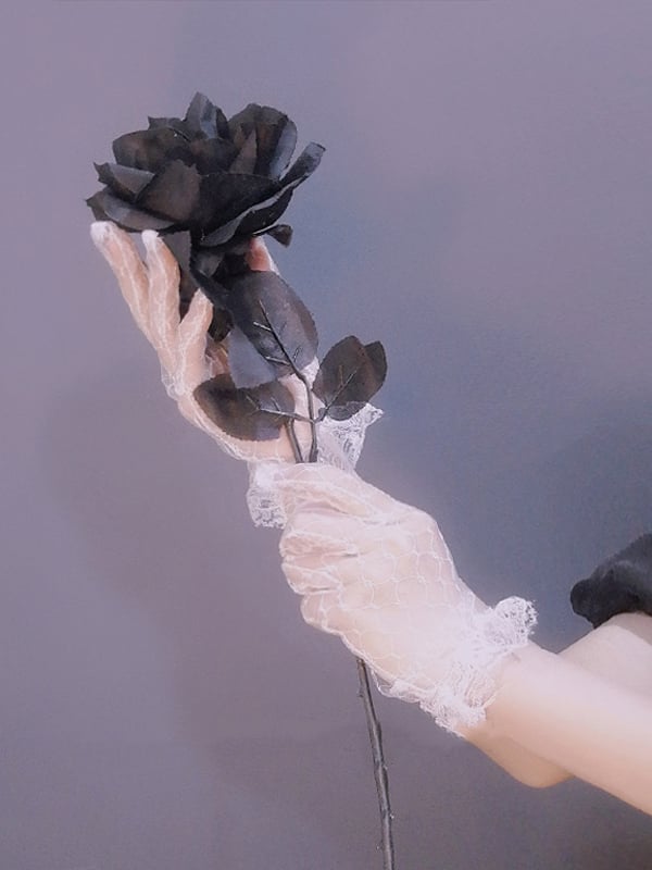 White / Black Lace Gloves